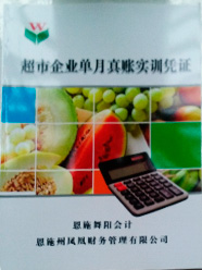 《超市企业单月真账实训凭证》
